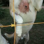 Photo 3 - 23 May 2020